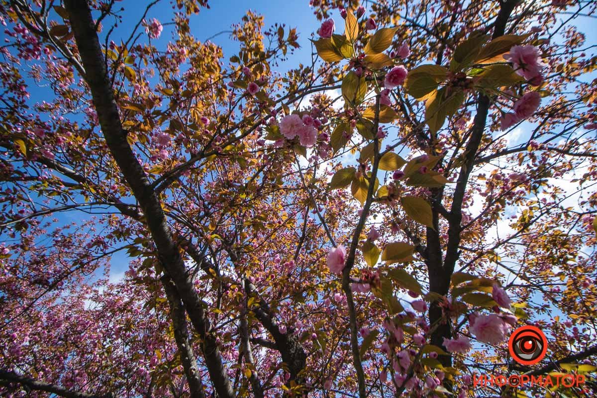 И синее-синее небо И синее-синее небо