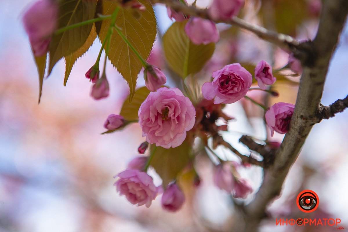 Это вам Это вам