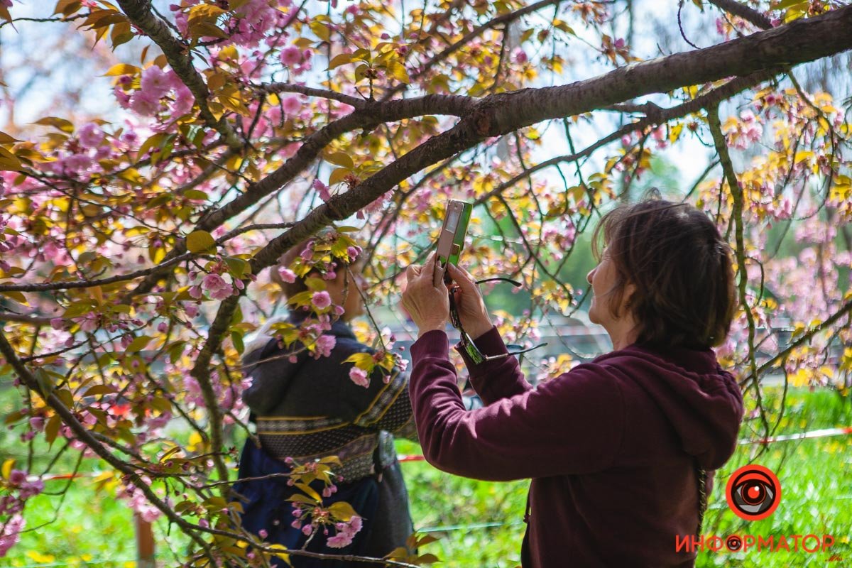 Нежнятина Нежнятина