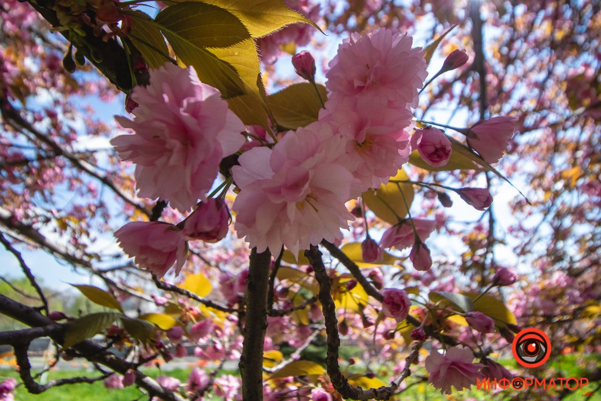Передает вам привет Передает вам привет