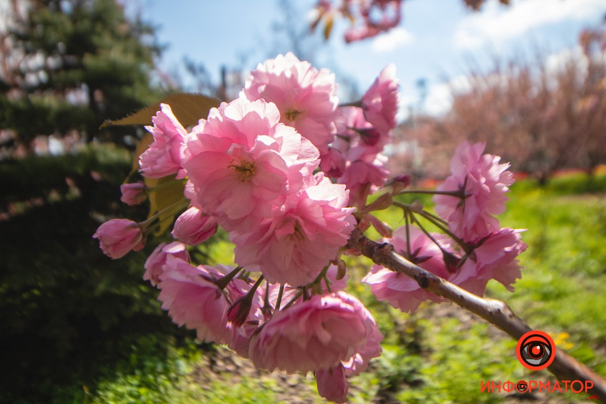 Невероятный цвет Невероятный цвет