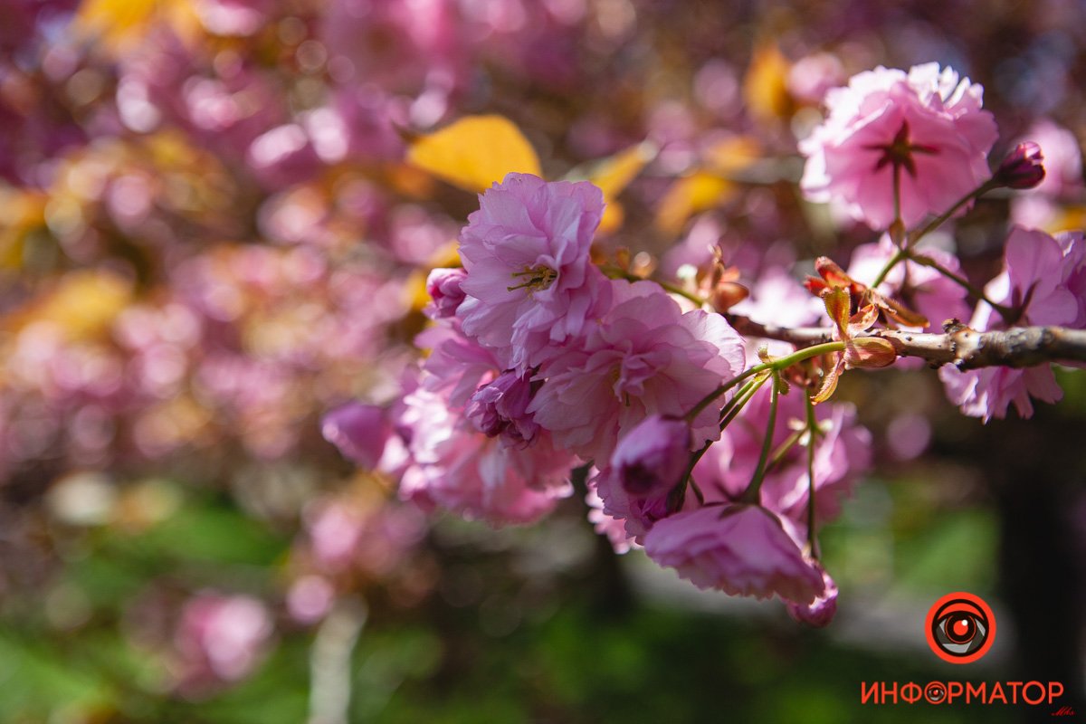 Ждут вас Ждут вас