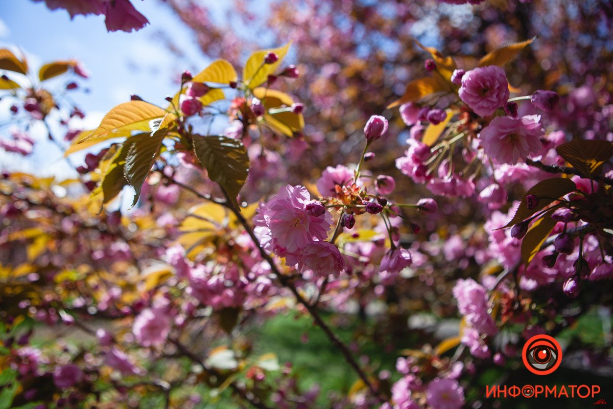 Красотища Красотища