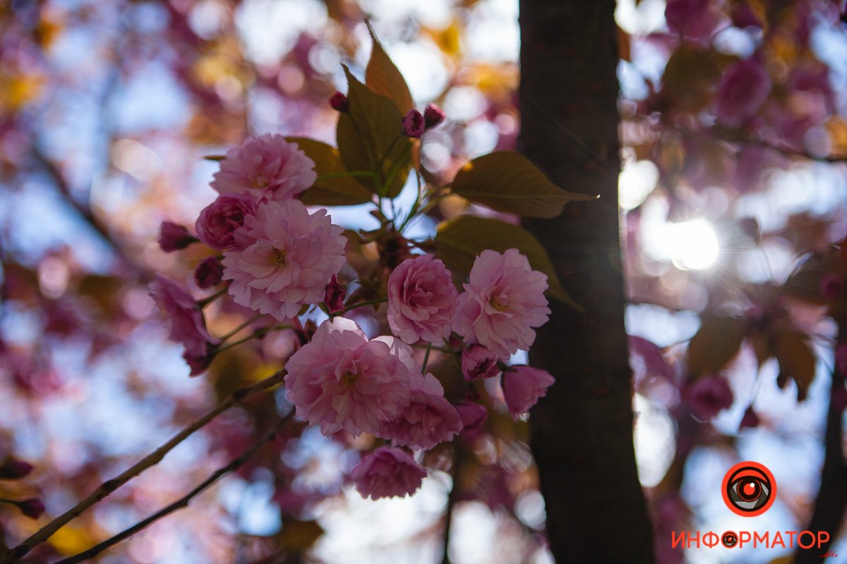 Хватит сидеть дома... Или на работе :) Хватит сидеть дома... Или на работе :)