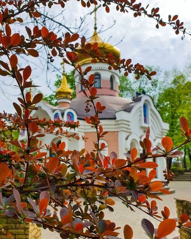 @mr.brovka007 @mr.brovka007