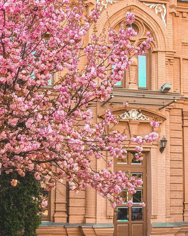 @pan_vusach @pan_vusach