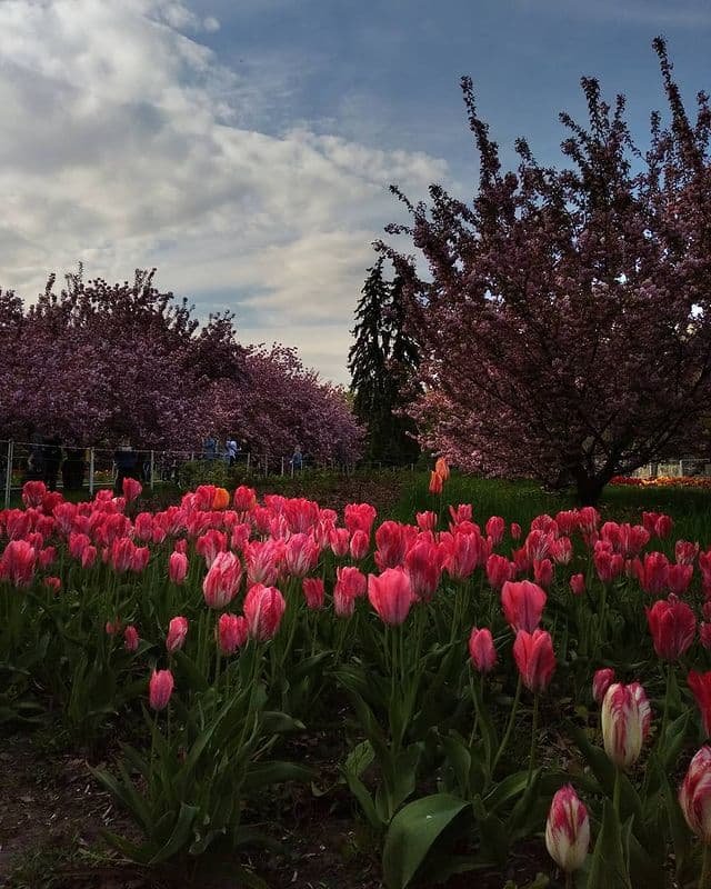 @ramis.gasimov @ramis.gasimov