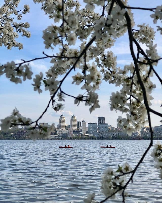 @lekastulchik @lekastulchik