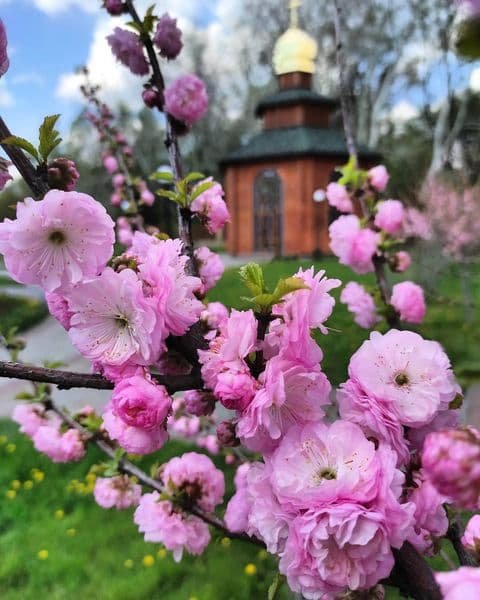 @lilia_dolgoli @lilia_dolgoli