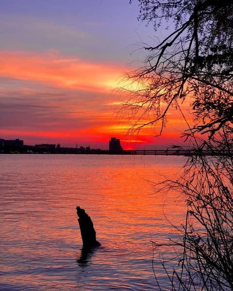 @vikushaa_aa @vikushaa_aa