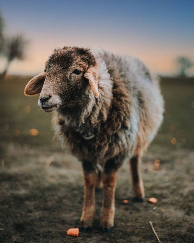 @deniska_ua @deniska_ua