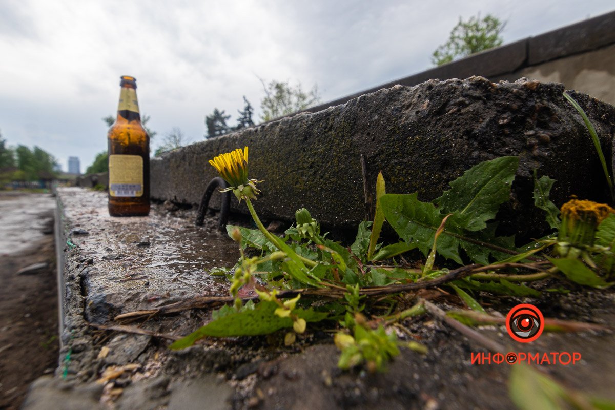 Фото: Дмитрий Федоров