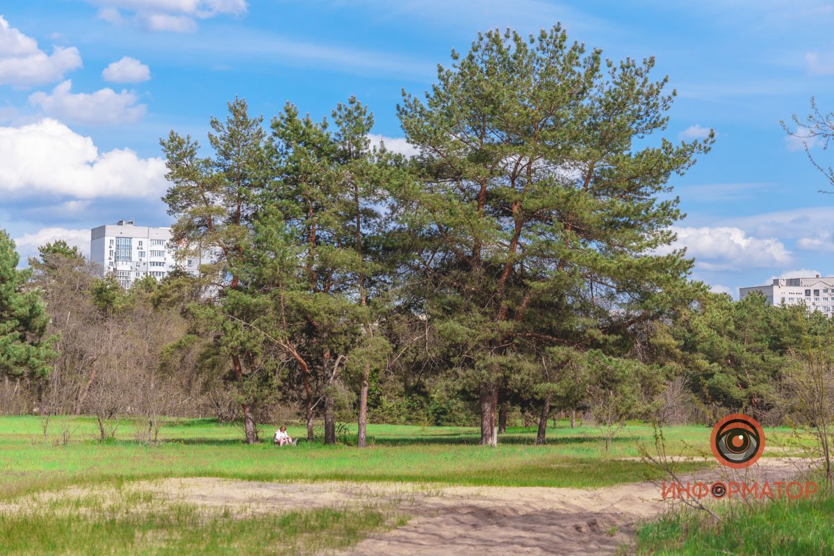Просто почитать под деревом. Разве это не круто? Просто почитать под деревом. Разве это не круто?