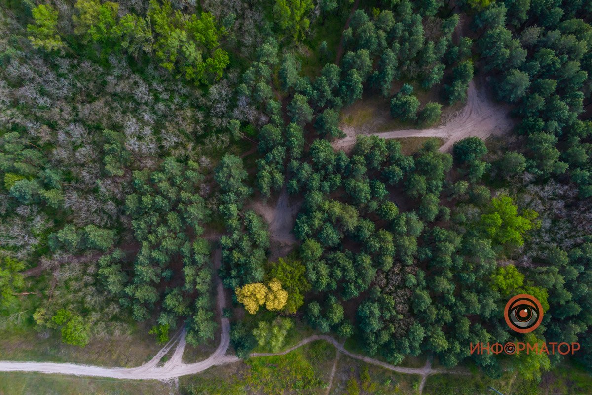 Фото: Сергей Лашко Фото: Сергей Лашко