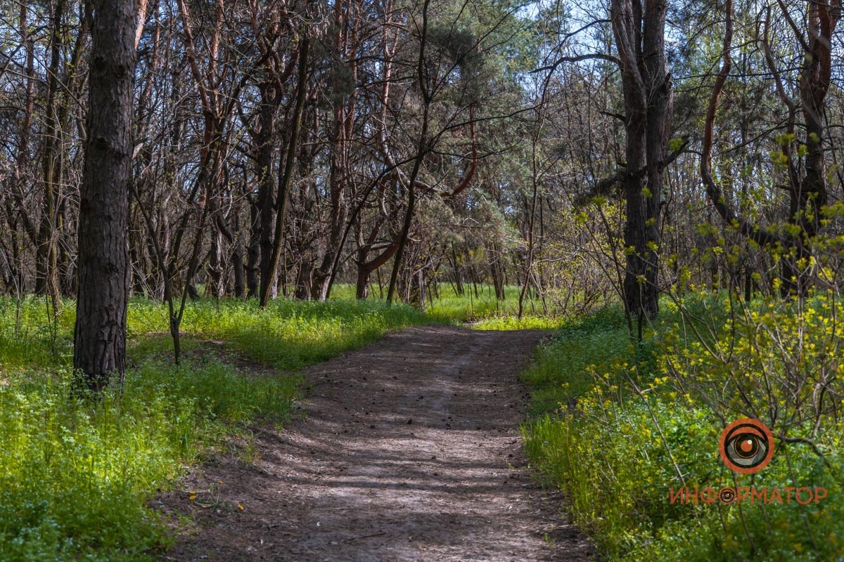 Идеальное место для отдыха Идеальное место для отдыха