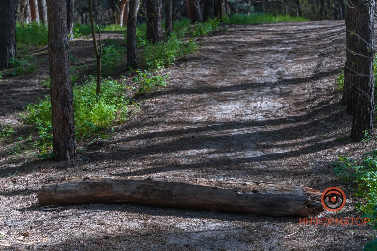 Укрытие от городской суеты Укрытие от городской суеты