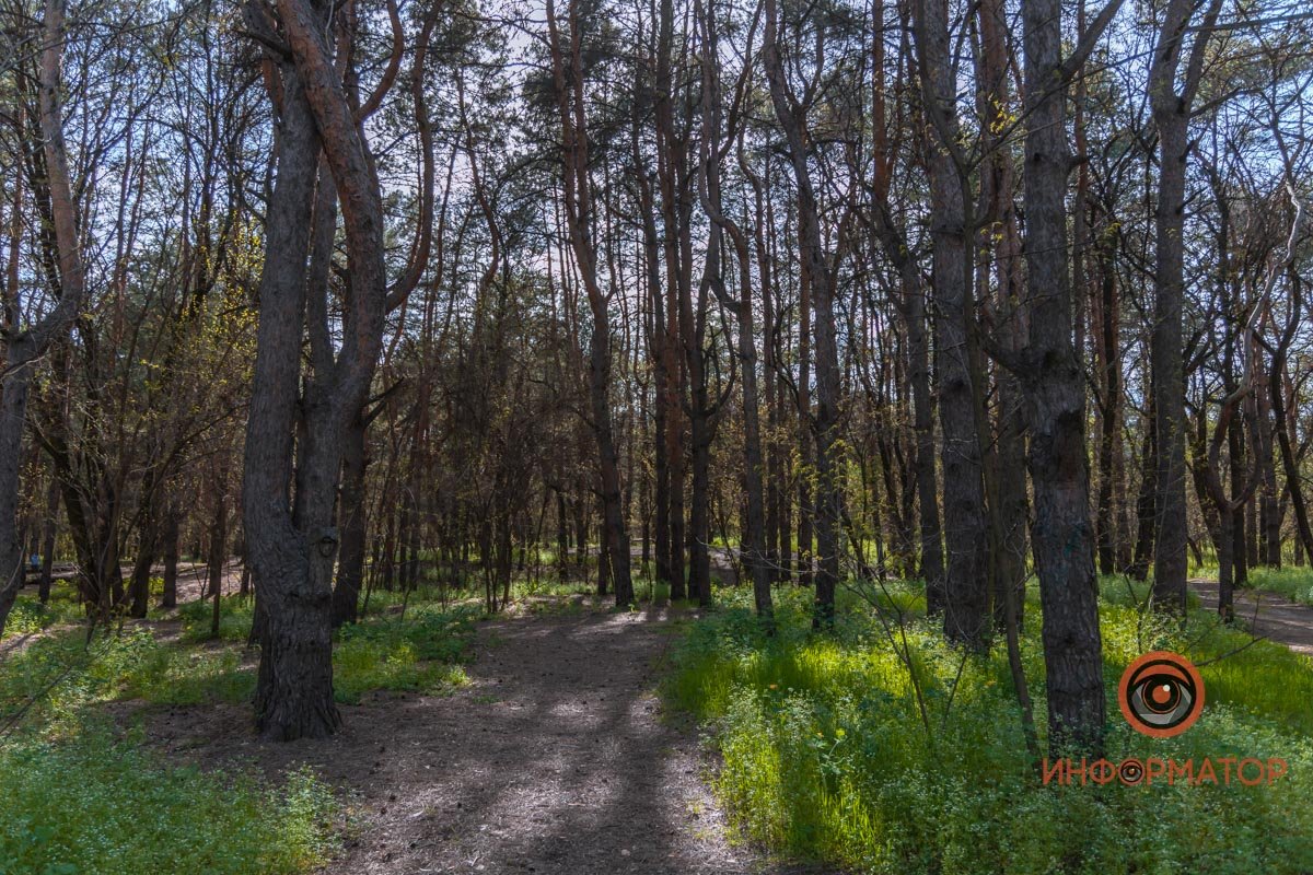 Главное - не мусорить Главное - не мусорить