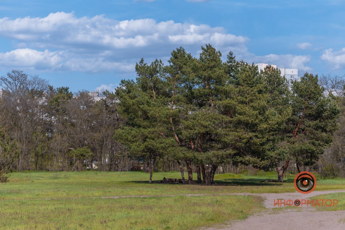 Релакс Релакс