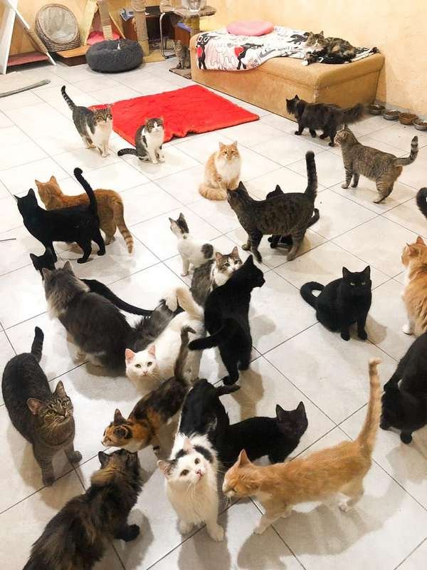 Им всем хочется кушать Им всем хочется кушать