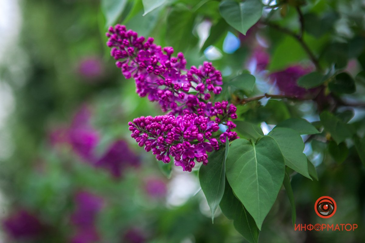 Еще чуть-чуть Еще чуть-чуть