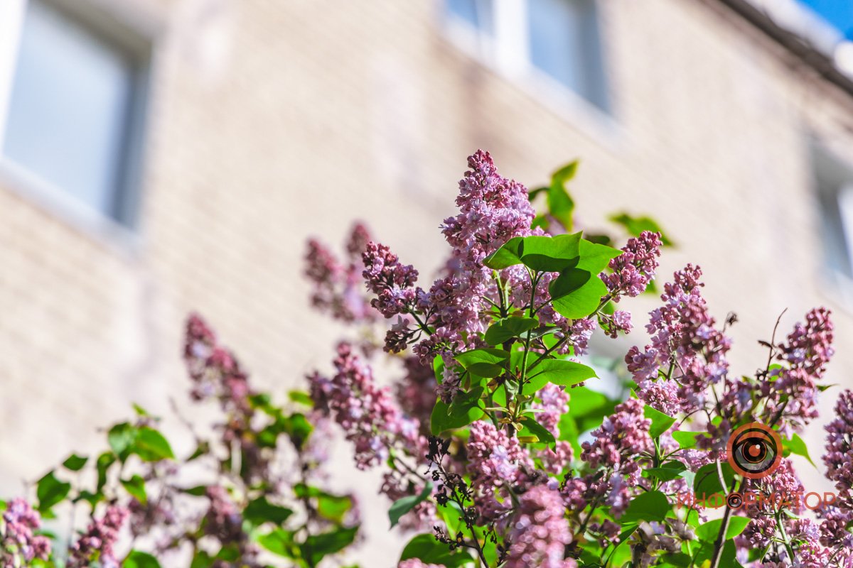 Ловите момент Ловите момент