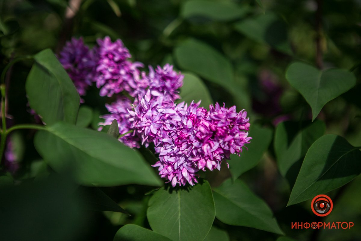 Удивительно красиво Удивительно красиво