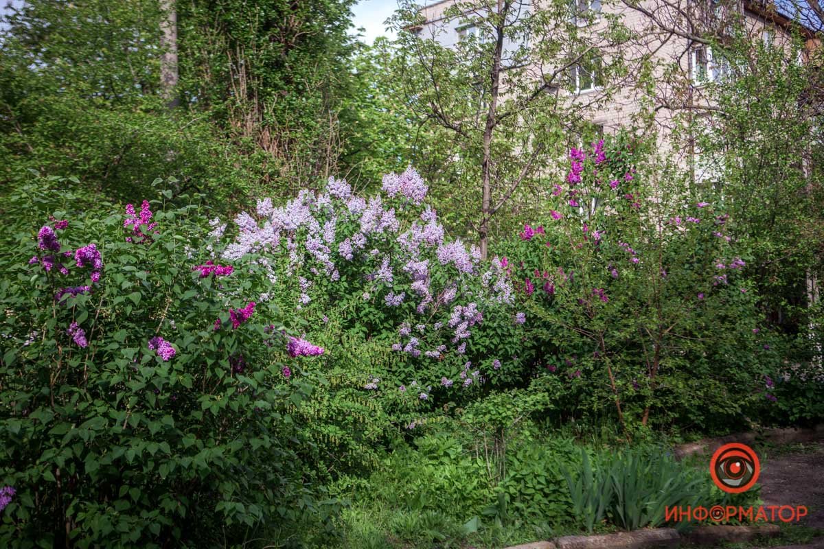 Весенняя палитра Весенняя палитра