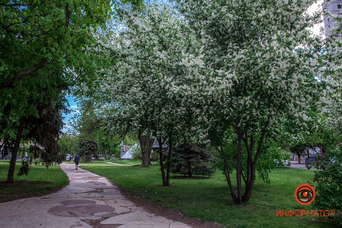 Очень ароматно Очень ароматно
