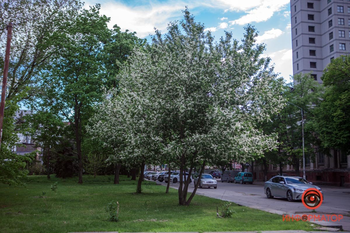 Немножко снега Немножко снега