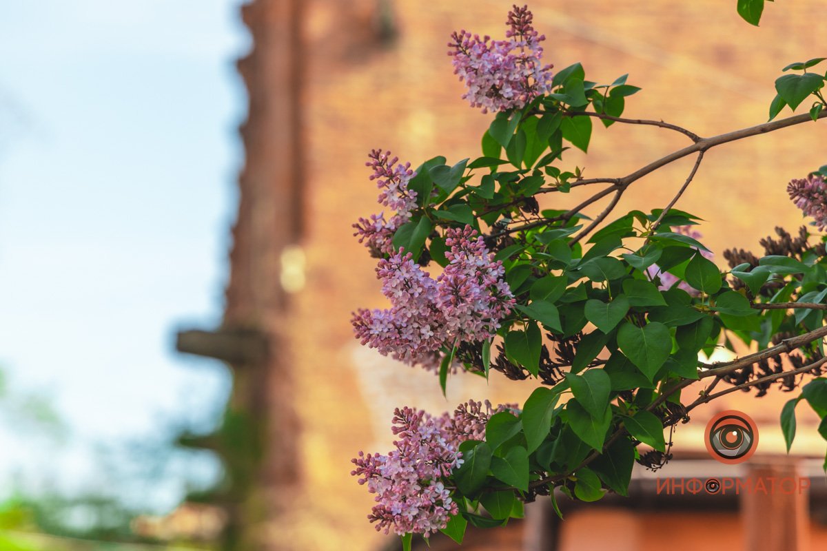 Набирайтесь сил Набирайтесь сил