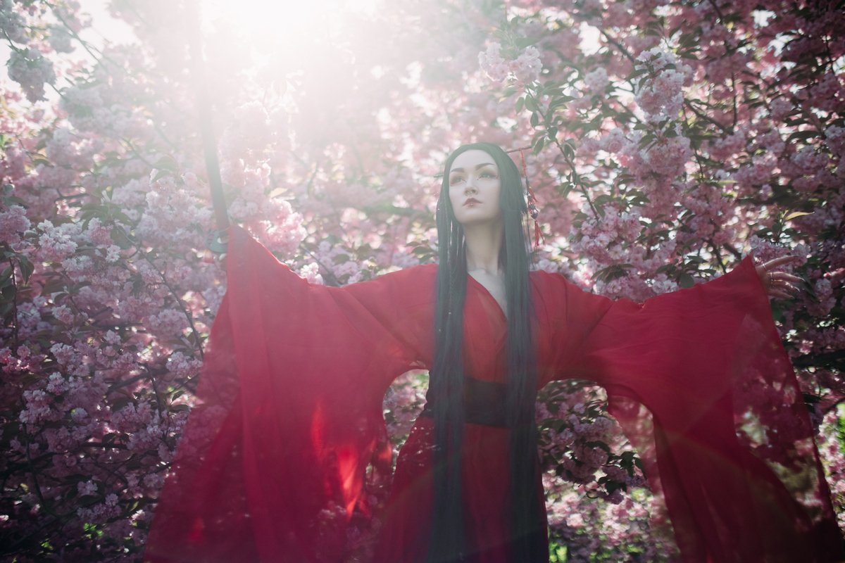 Прекрасные цветы