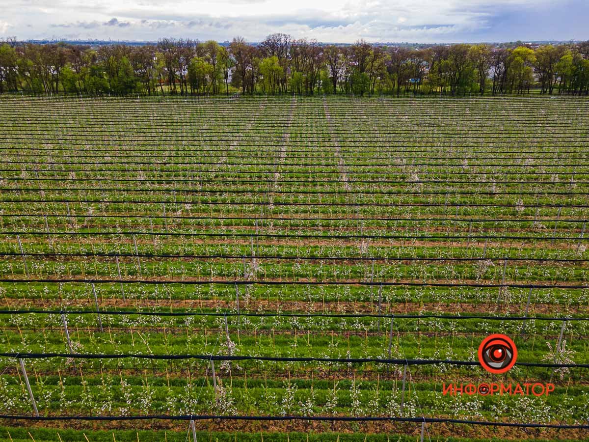 Весна – время любви, долгих прогулок по паркам