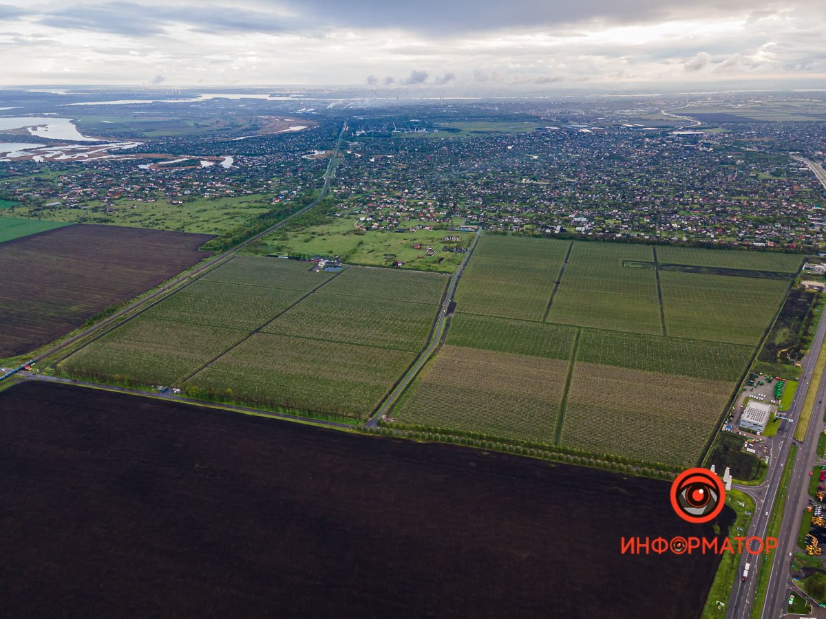 В воздухе слышится запах пыльцы В воздухе слышится запах пыльцы