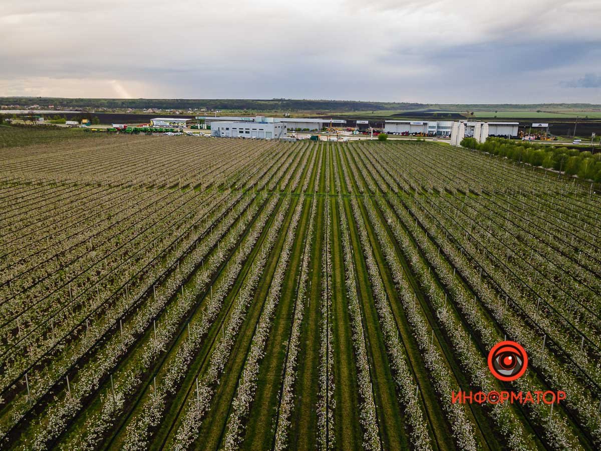 Глаз не оторвать Глаз не оторвать