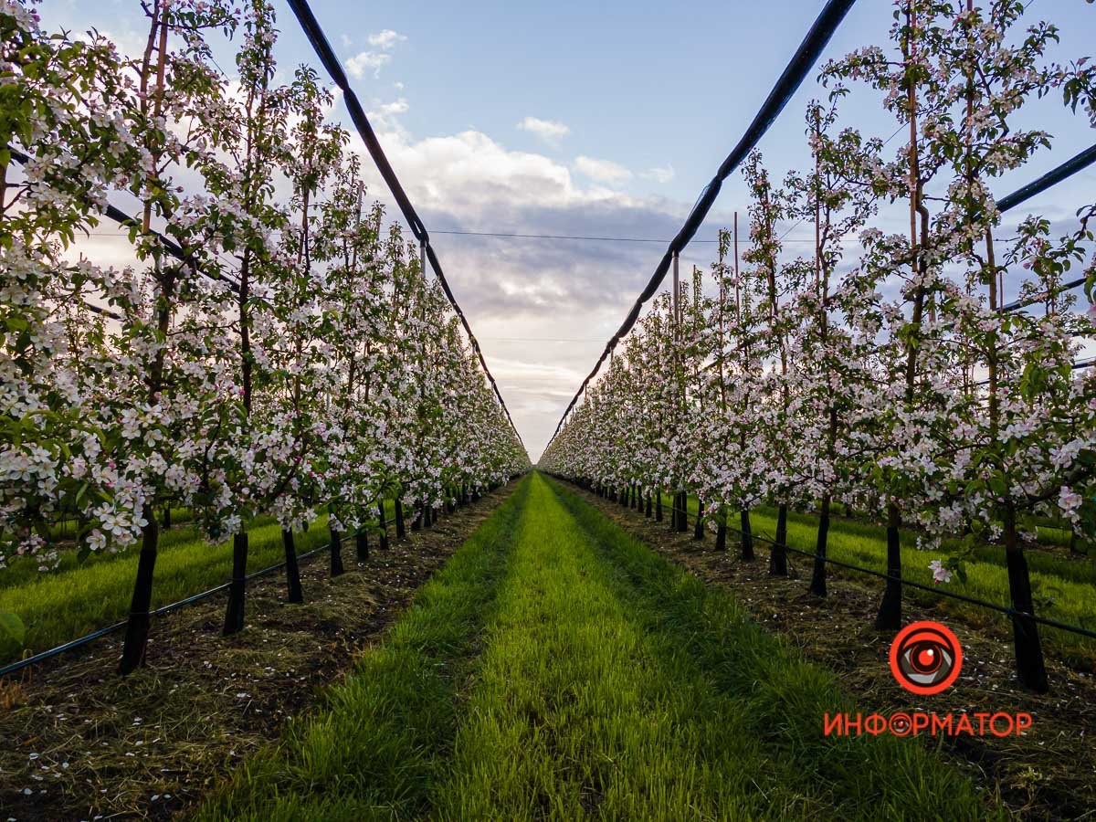 Впечатляет Впечатляет