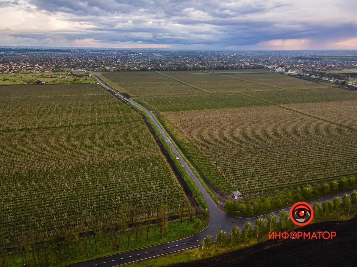 Завораживающе Завораживающе