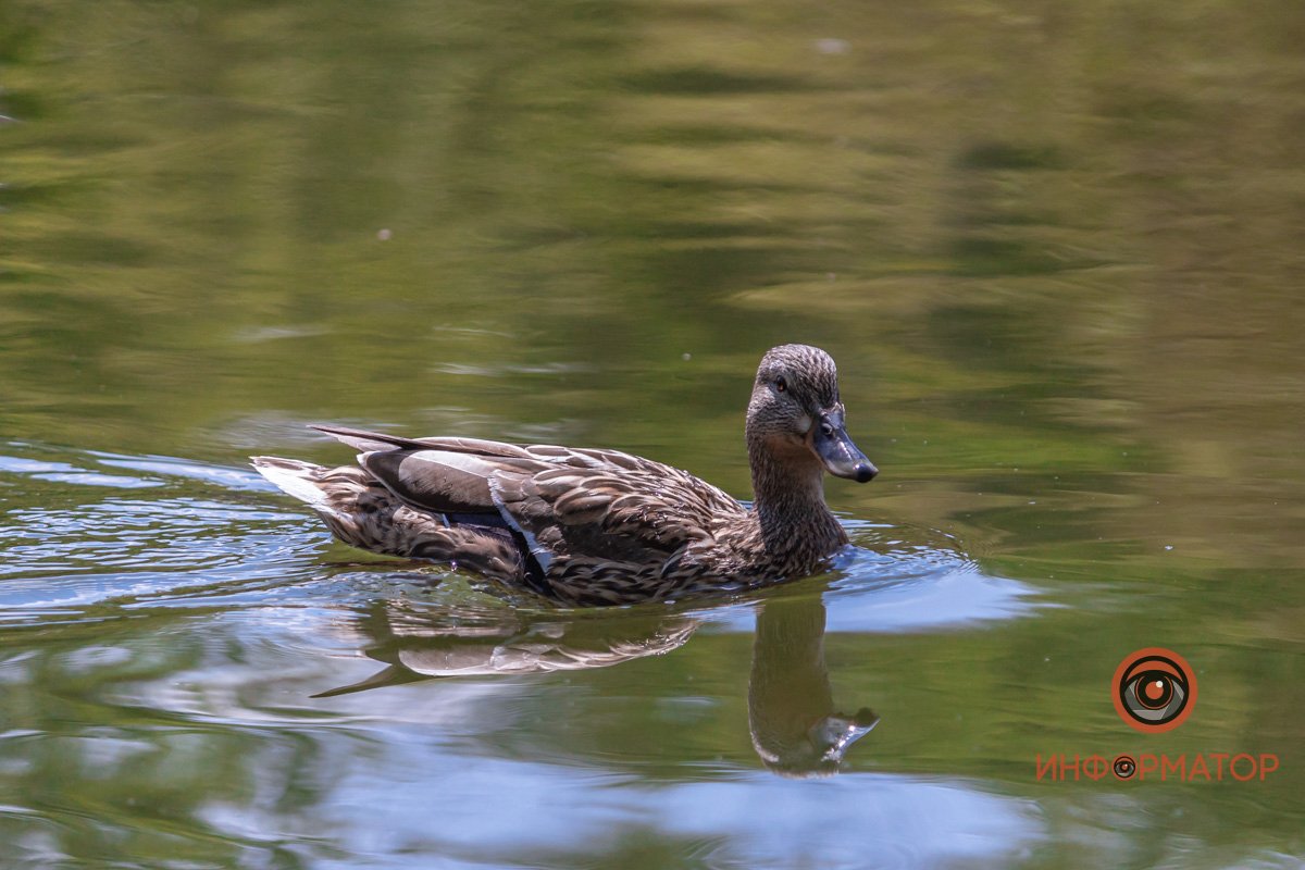 Воспитатель 