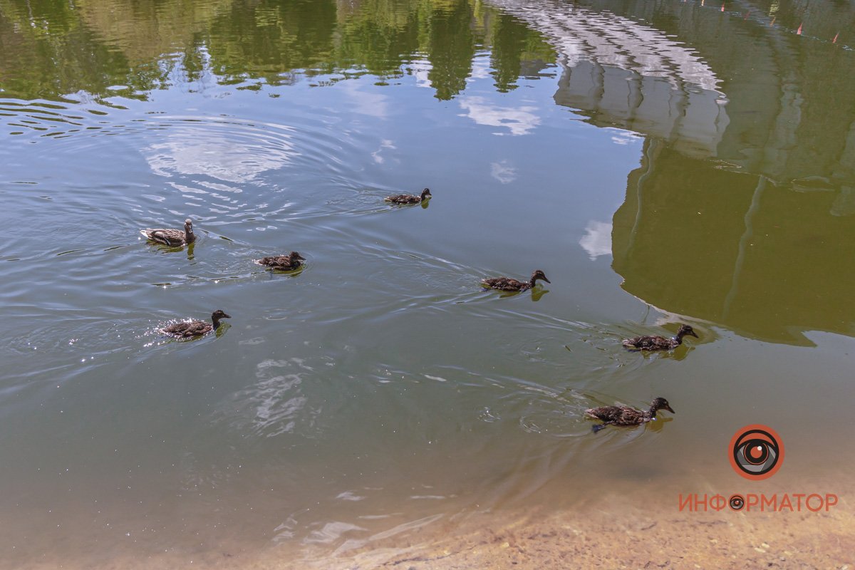 Полным составом