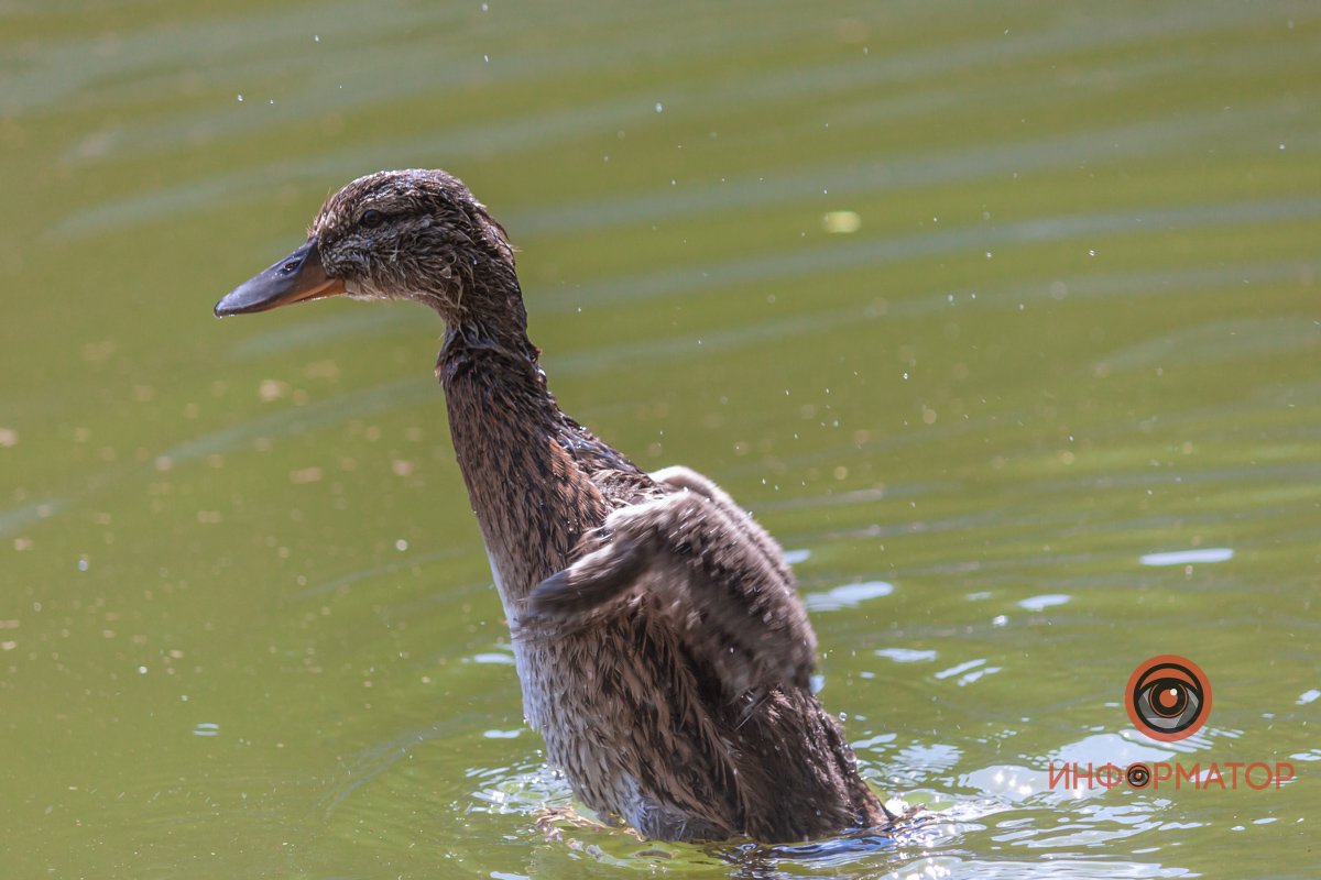 Что там у вас происходит?