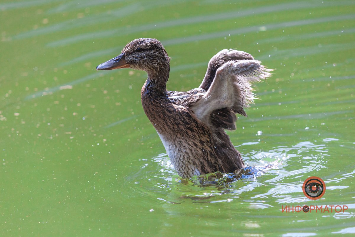 Еще совсем молод