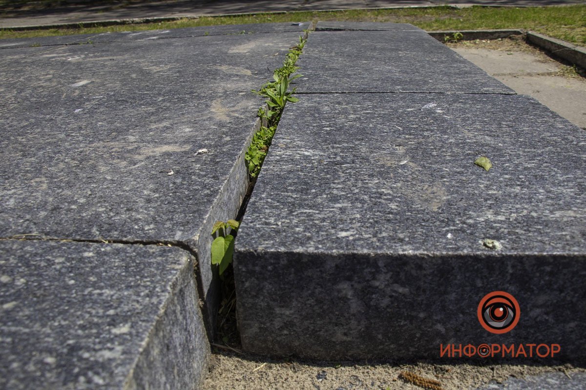 Трава пробивается сквозь асфальт и бетон