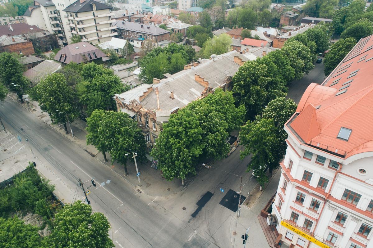 Что в 2019 году улица Короленко утопает в зелени...