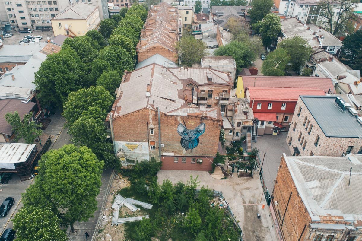 Котенок сфинкс любил нас тогда...