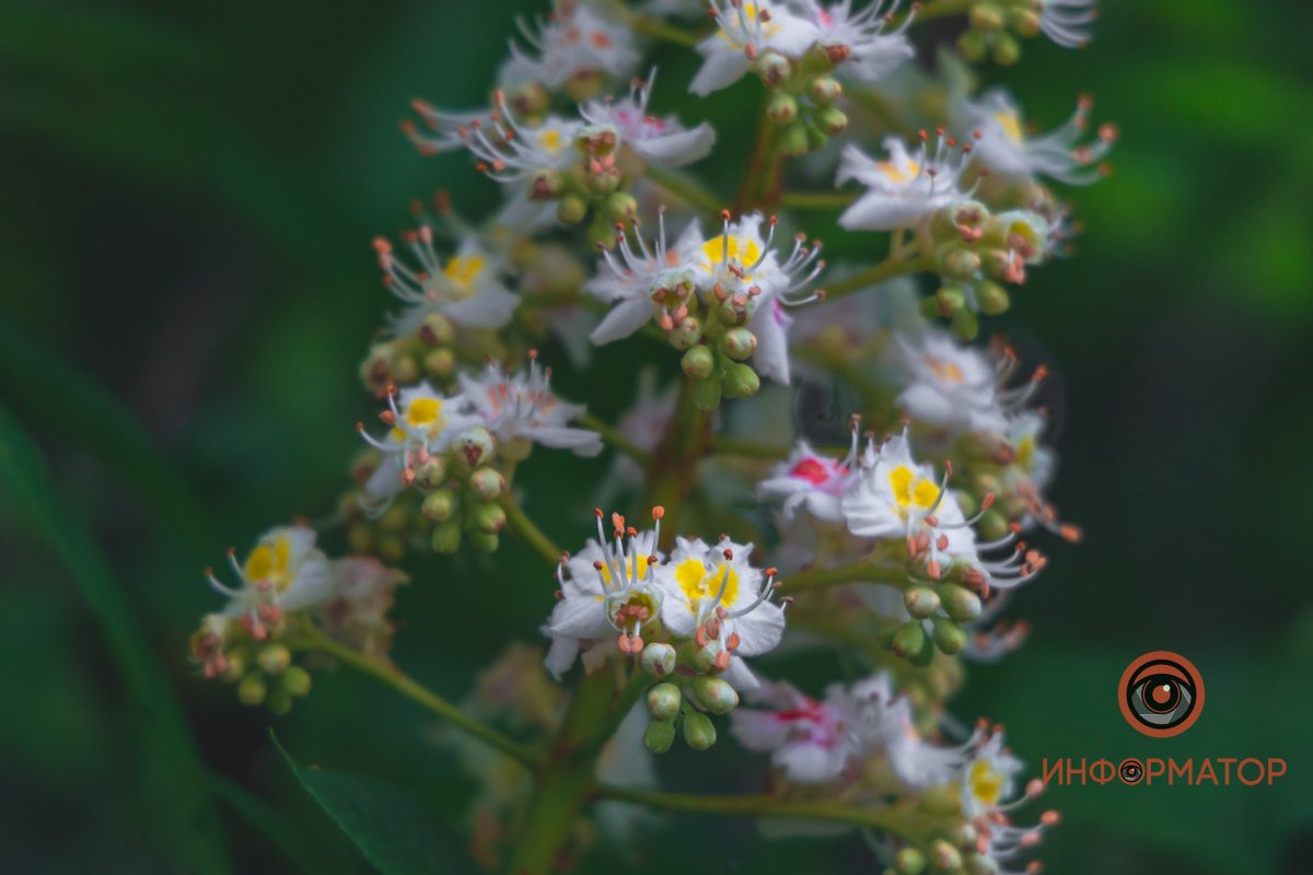 Очень нежные Очень нежные