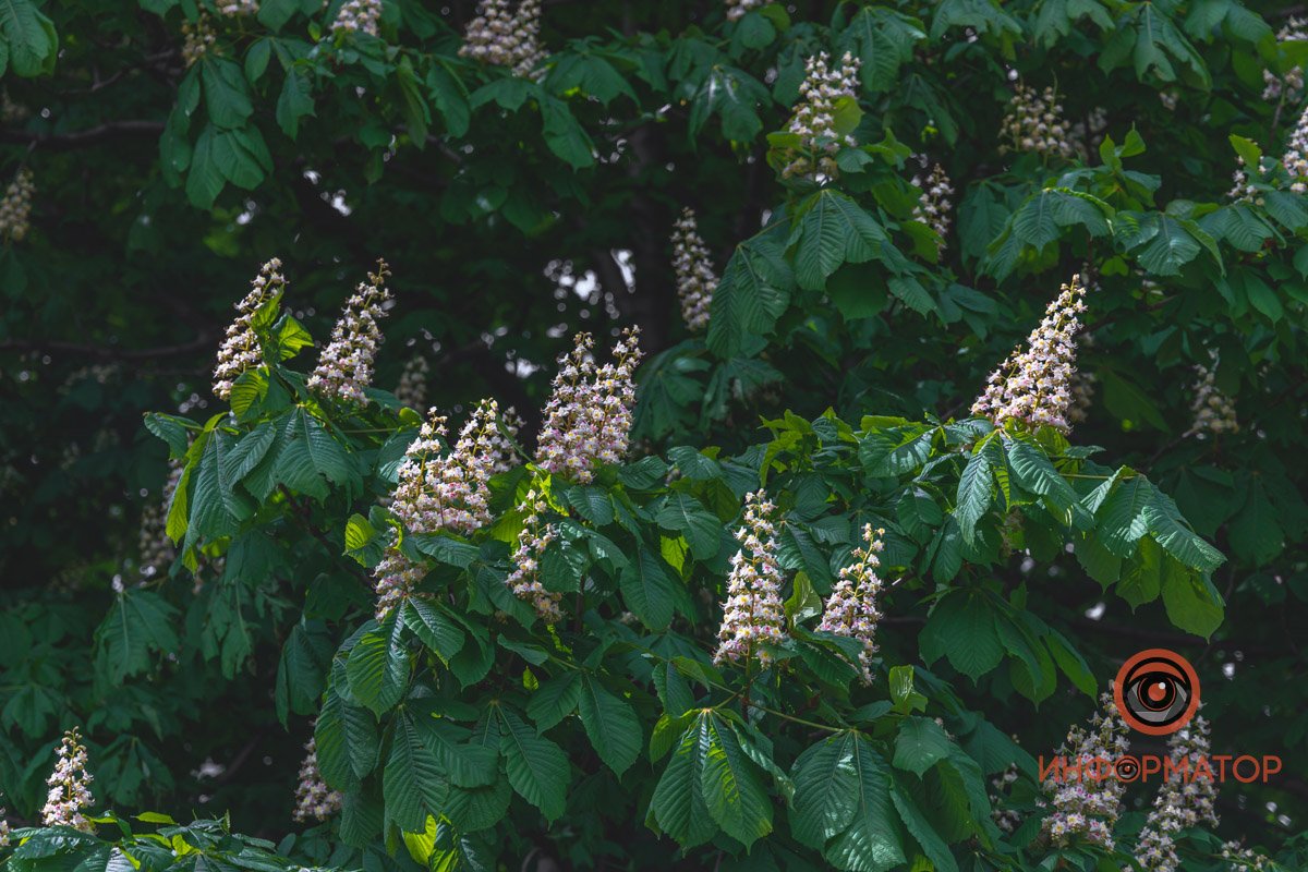 Смешивание ароматов Смешивание ароматов