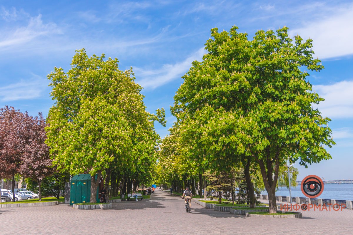 Теперь гулять светло Теперь гулять светло