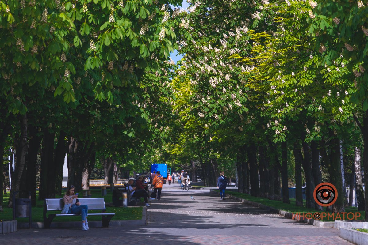 Одно удовольствие Одно удовольствие