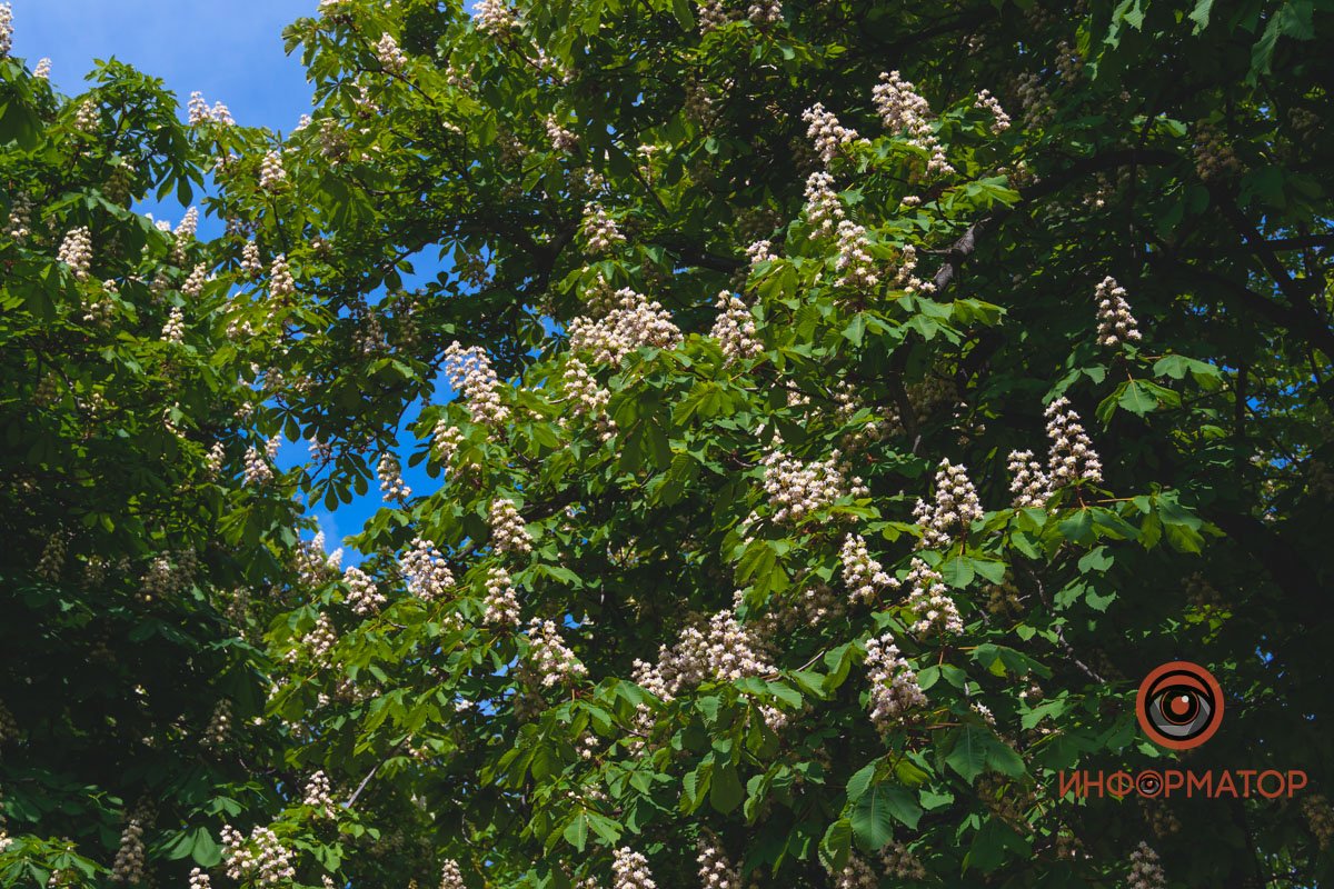 Разглядывают тех, кто снизу Разглядывают тех, кто снизу