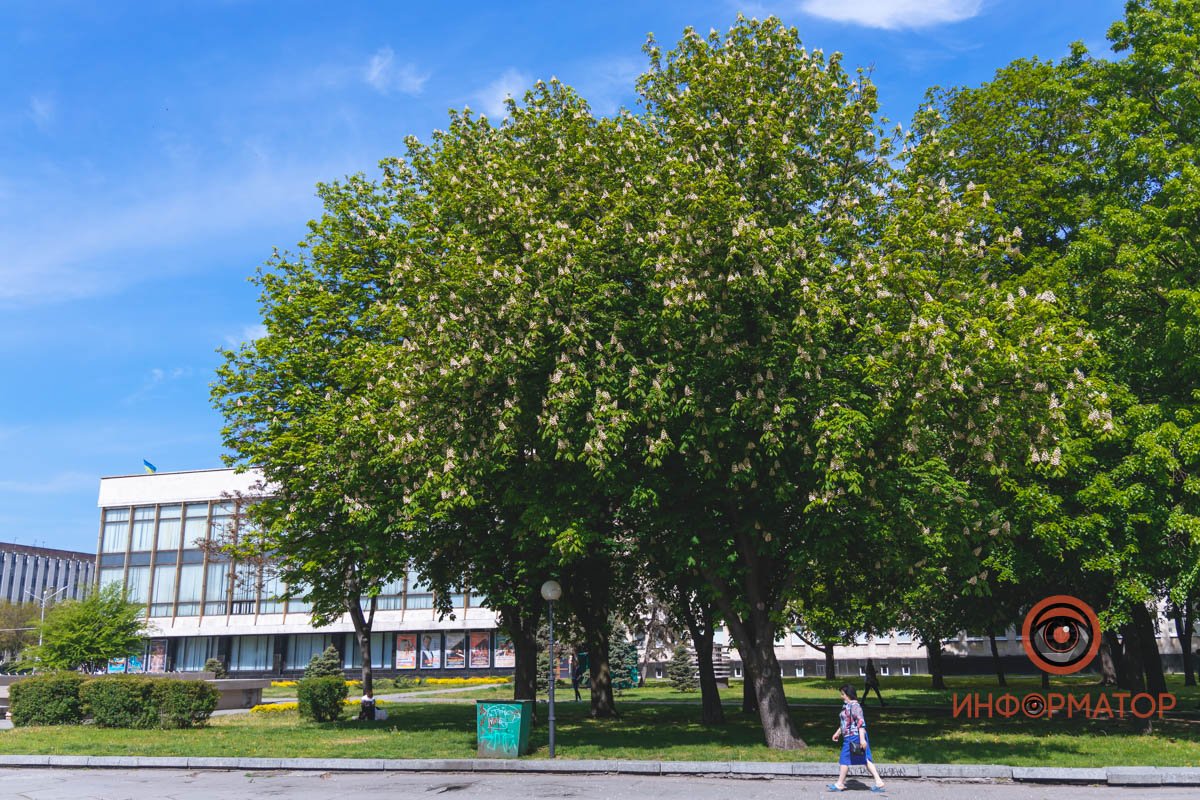 Идеальное время для прогулок Идеальное время для прогулок