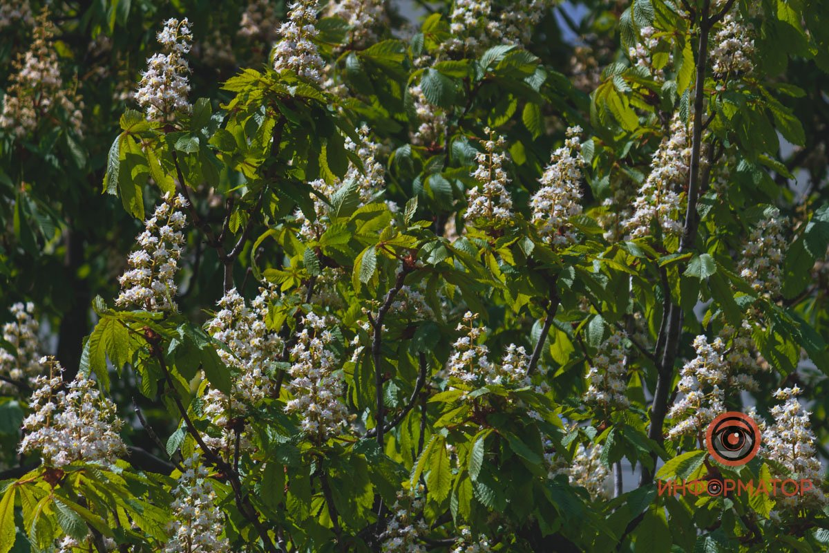И погода благоволит И погода благоволит